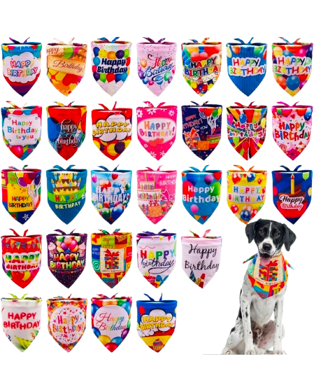 Sparky & Co Birthday Screen Printed Pet Bandanas 34"