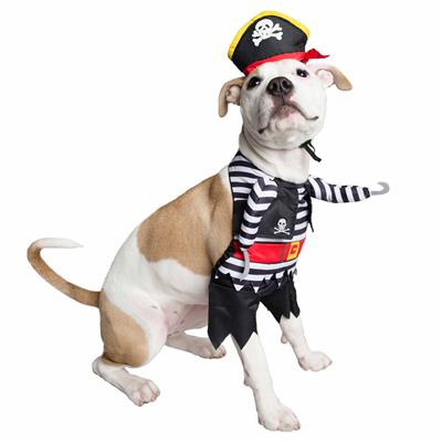 Pet Krewe Pirate Costume