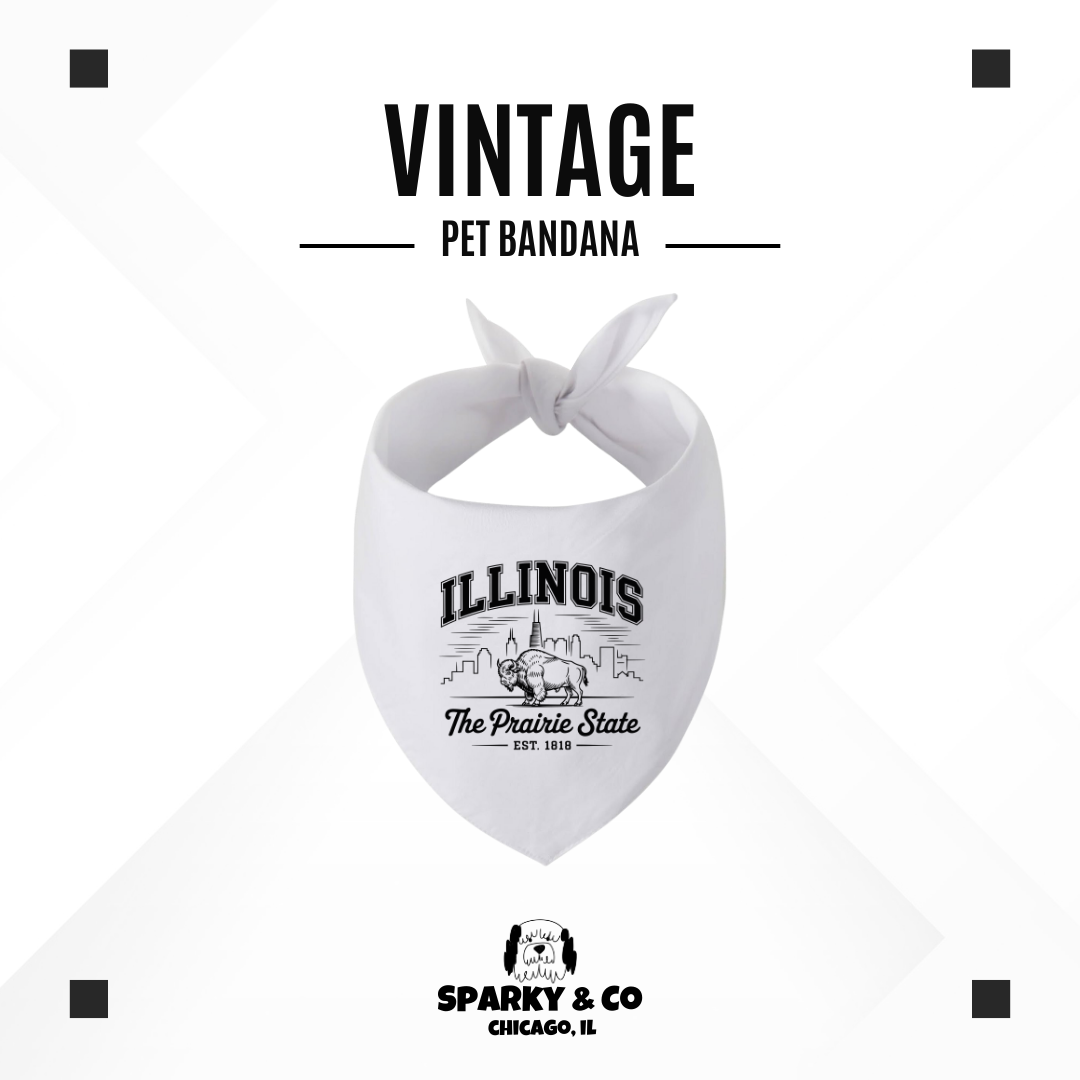 Sparky & Co Regional Graphic Pet Bandana