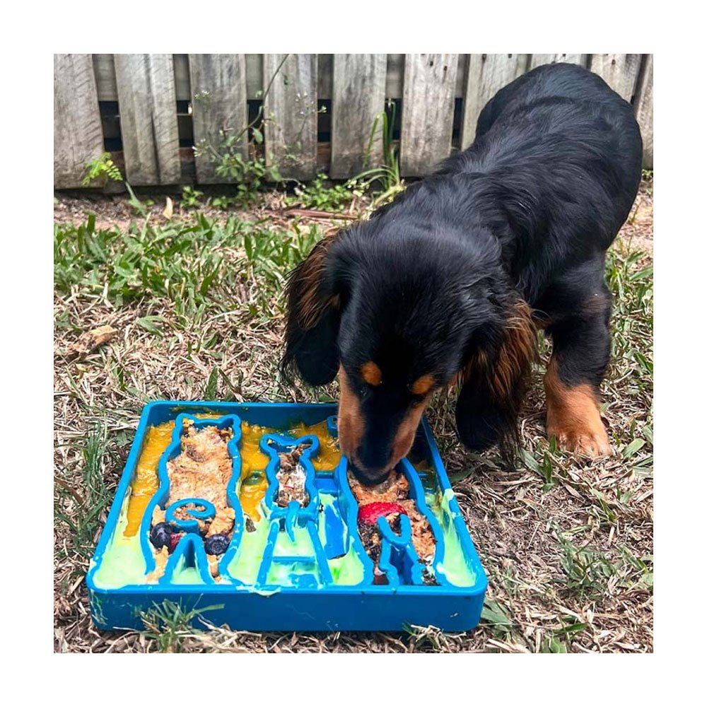 SodaPup Enrichment Tray Waiting Design Blue Slow Feeder for Dogs