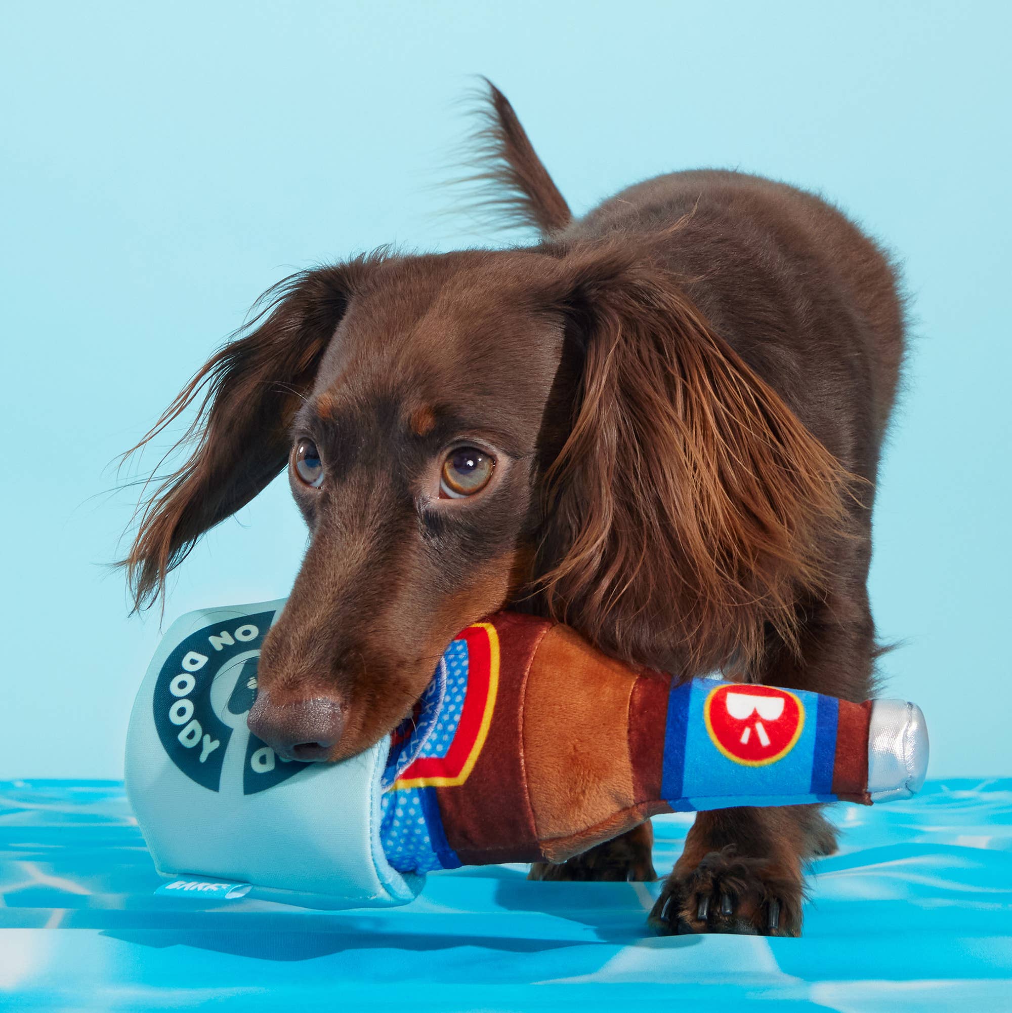 BARK Boozy Doody Koozie Plush Dog Toy