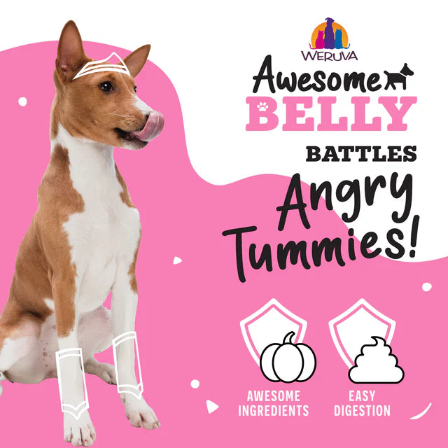 Weruva Awesome Functions Belly Canned Dog Food