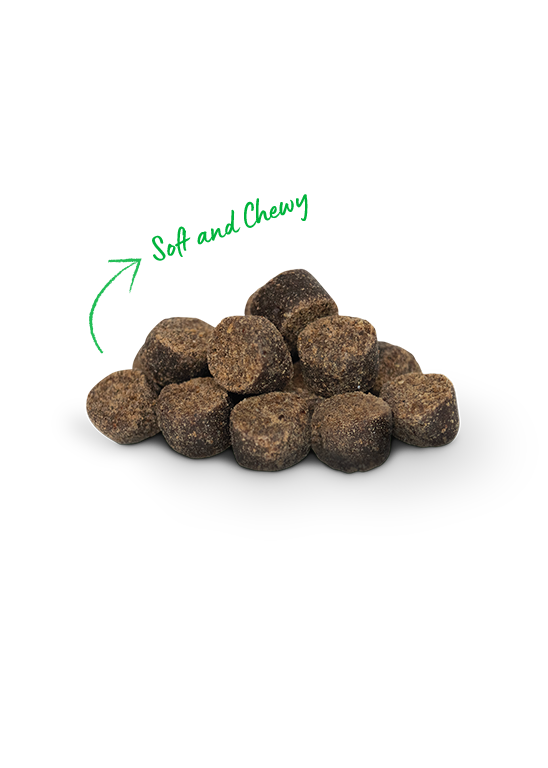 Open Farm Be Good Bites Soft & Chewy Plant with Pumpkin 6oz Dog Treats