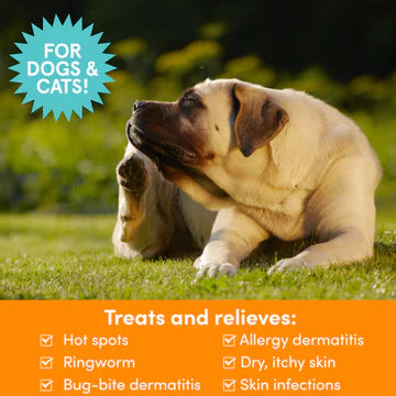 Nootie Dermatology Solutions Antimicrobial Spray 8oz for Dogs & Cats