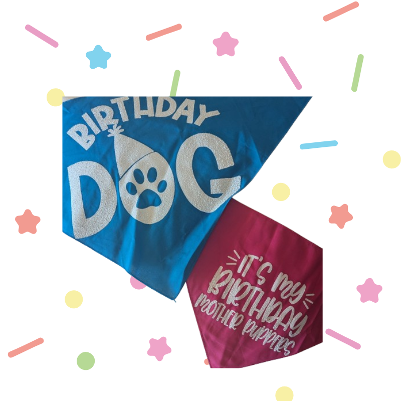 Sparky & Co Glitter Birthday Dog Pet Bandana 31"