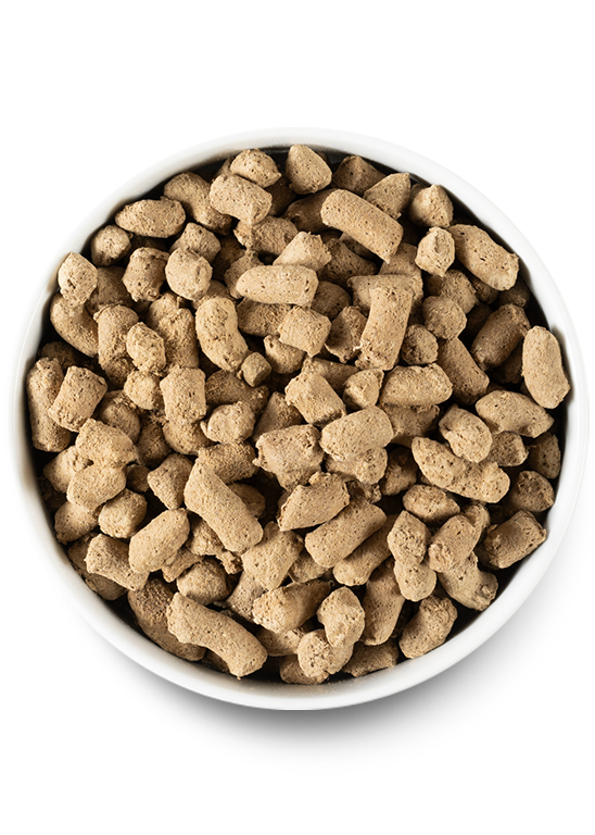 Open Farm Freeze-Dried Raw Pasture Raised Lamb Dog Food