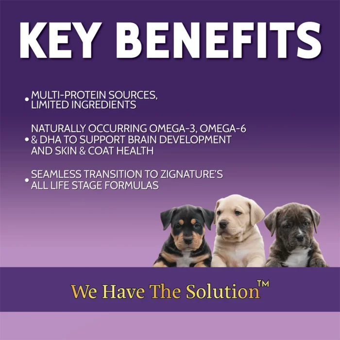 Zignature Puppy Whitefish & Turkey 13oz Canned Dog Food