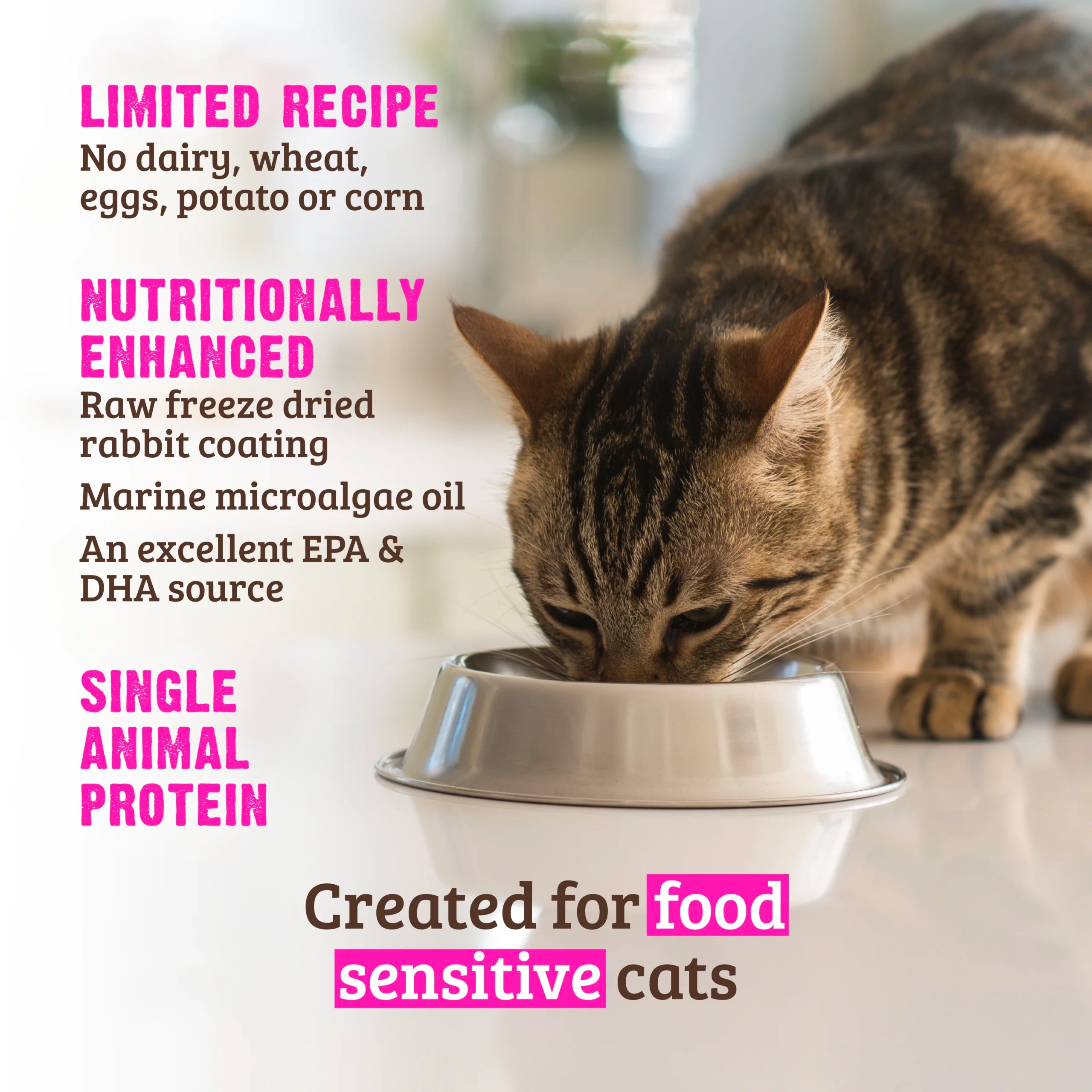 Rawz Real Rabbit Limited Ingredient Dry Cat Food