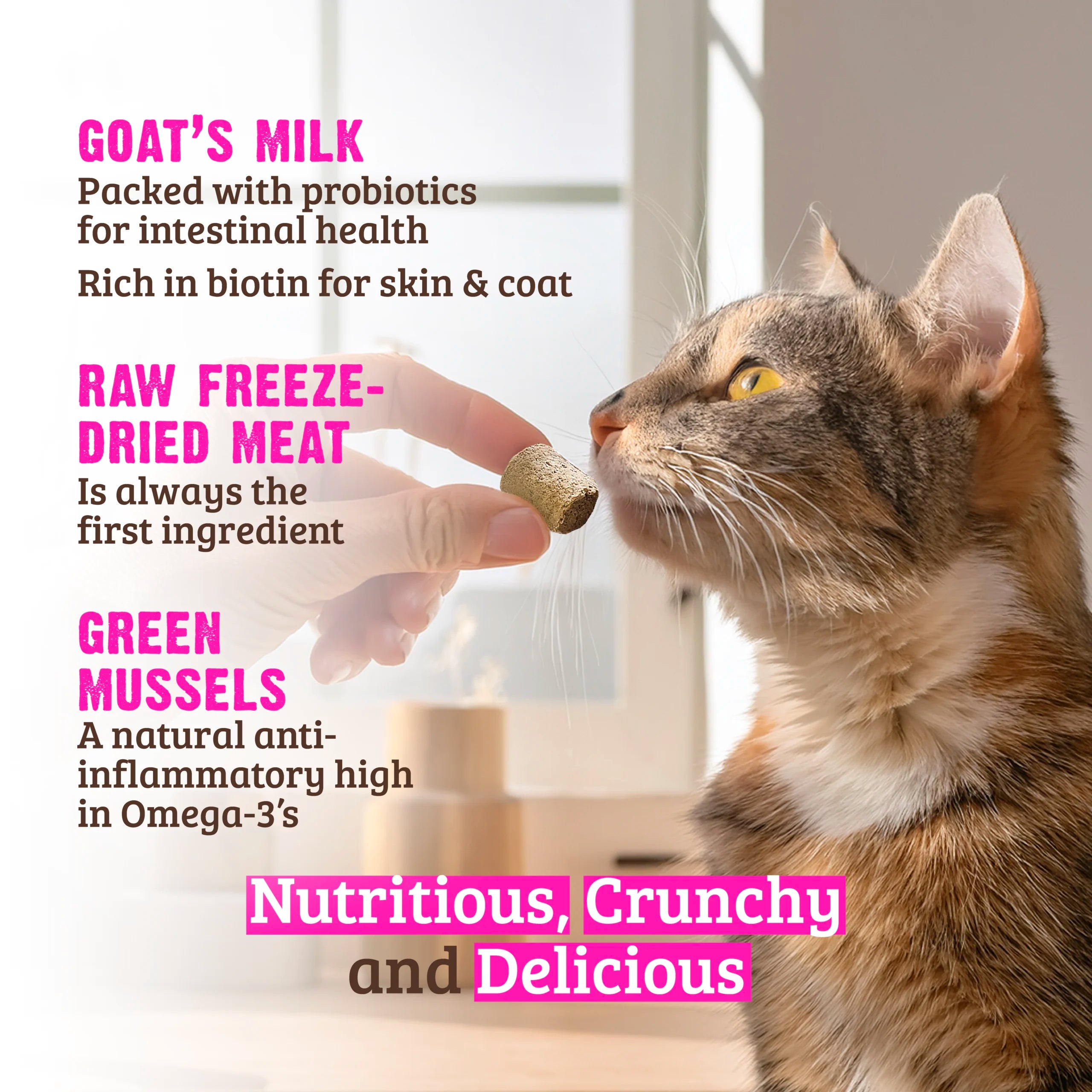 Rawz Raw Freeze-Dried Crunchy Cat Treats