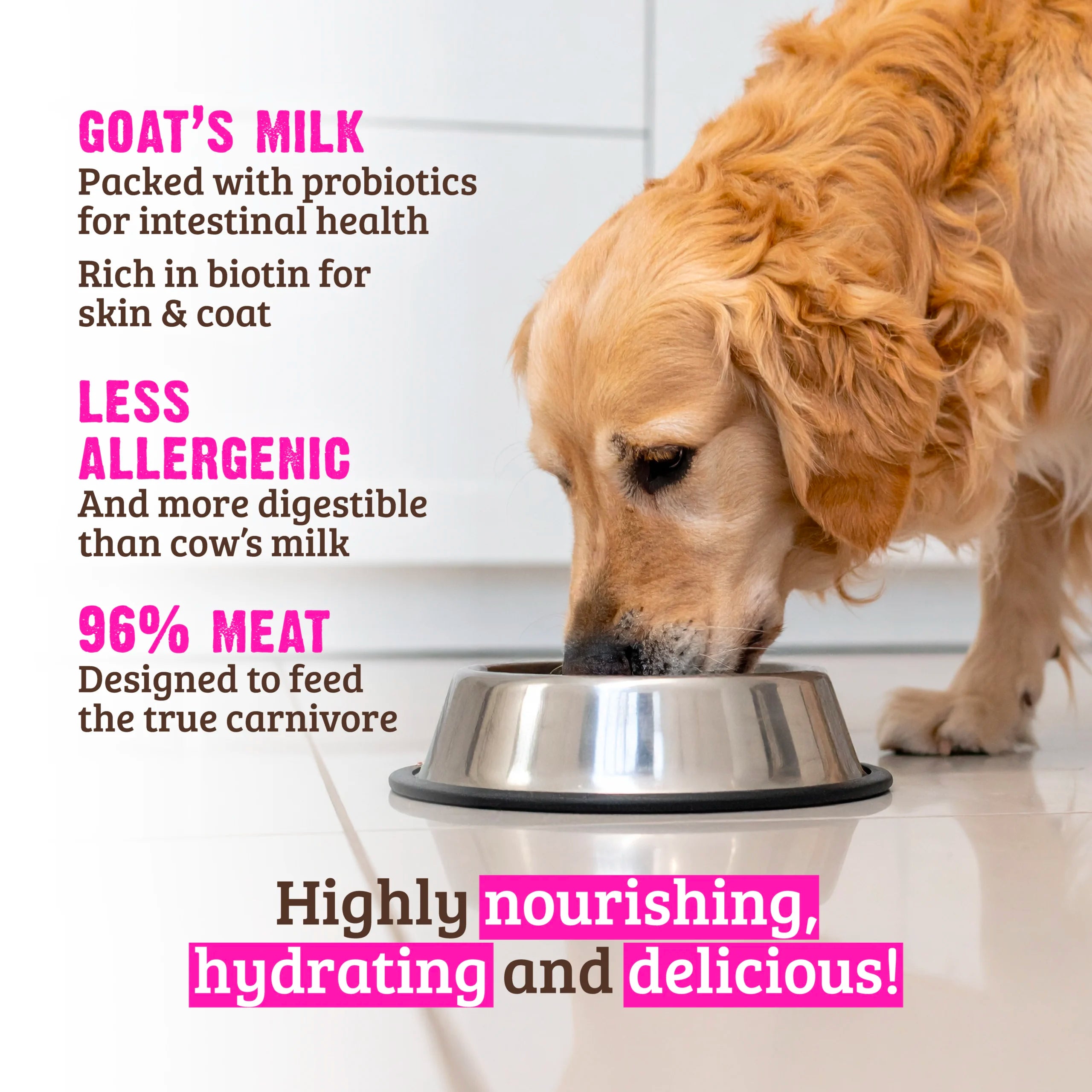 Rawz 96% Recipe with Goat Milk Canned Dog Food