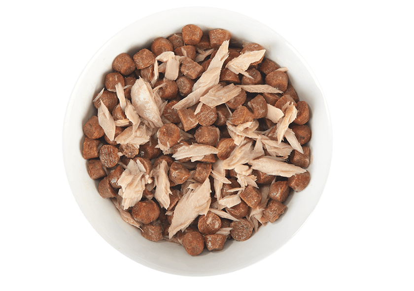 Tiki Pet Broths Wet Cat Food Pouch 1.3oz