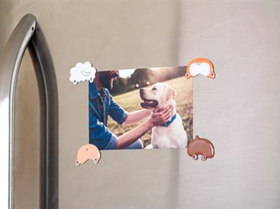 Pearhead Dog Butt Magnets