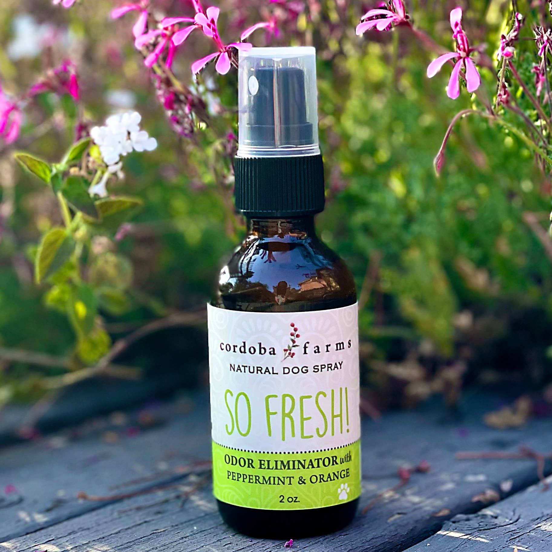 Cordoba Farms So Fresh!