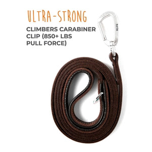 Mighty Paw Leather 6' Dog Leash - Paw Naturals