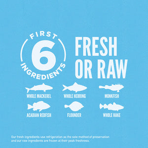 Orijen 6 Fish Dry Dog Food - Paw Naturals