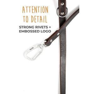 Mighty Paw Leather 6' Dog Leash - Paw Naturals