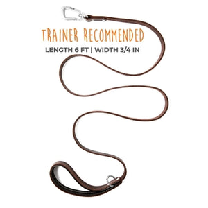 Mighty Paw Leather 6' Dog Leash - Paw Naturals