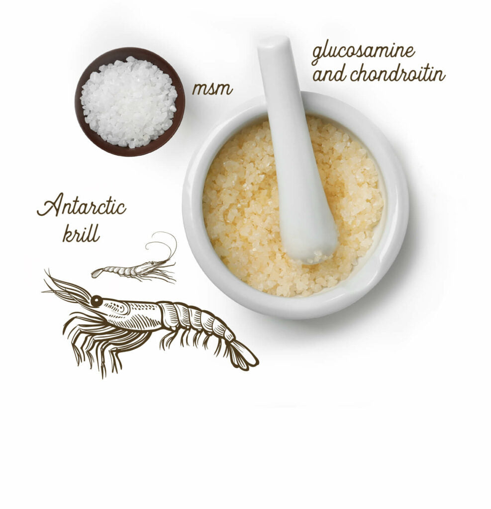 Grizzly Joint Aid Liquid Form for Dogs