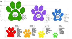 Pawz Black Rubber Dog Boots 12pk - Paw Naturals