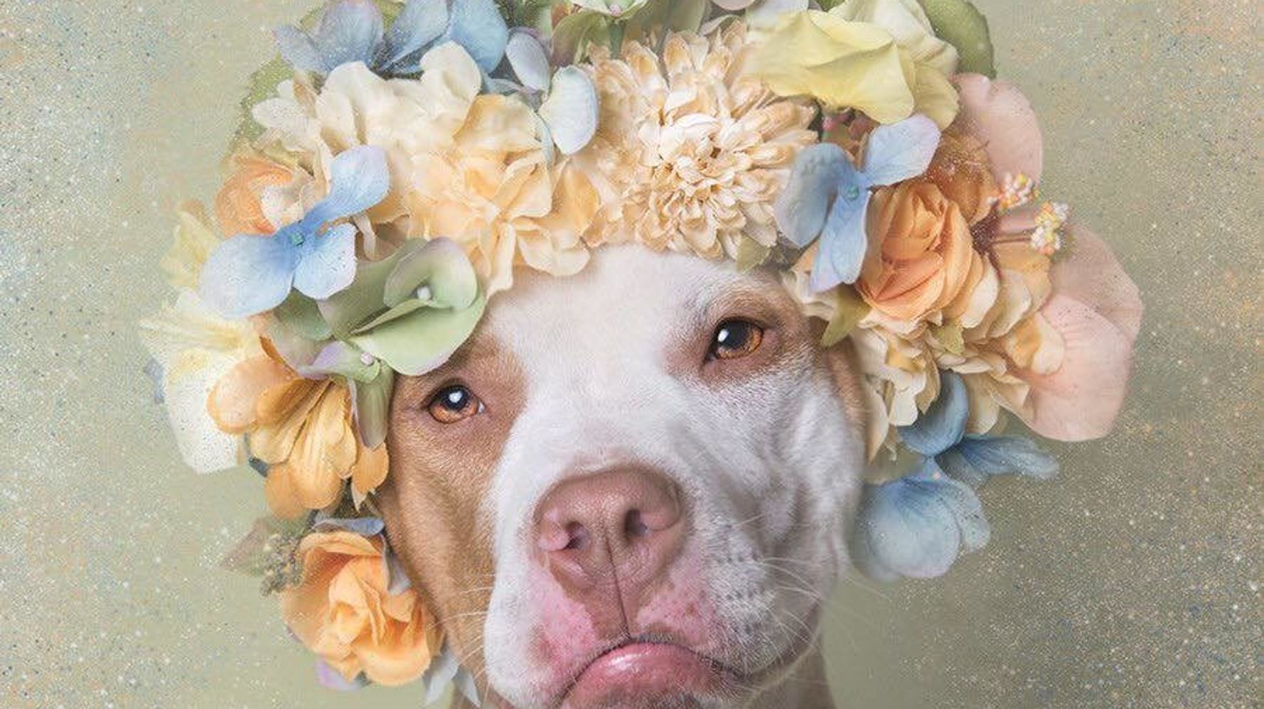 Earth Day Celebration