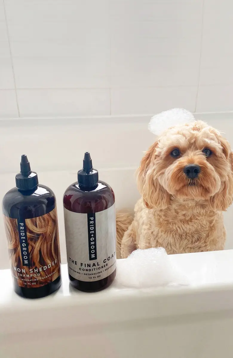 Brand Spotlight - Pride+Groom