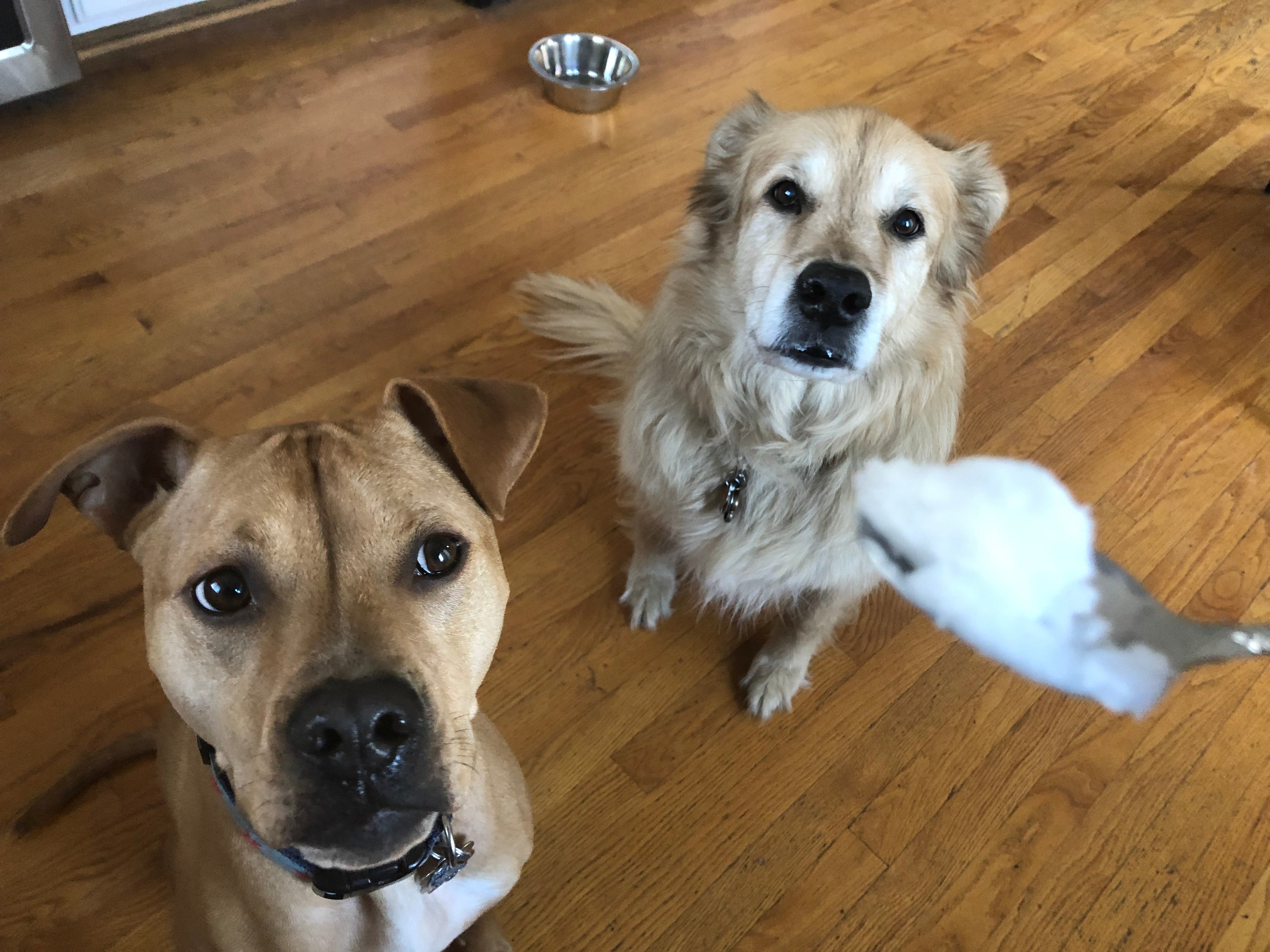 Here's Why You Should Always Have Coconut Oil On Hand