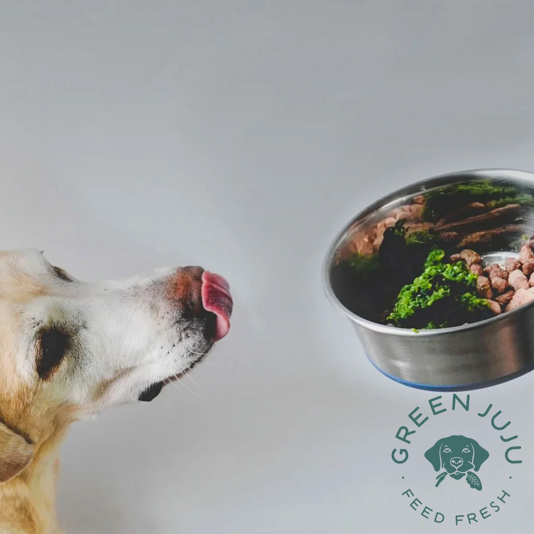 The Power of Green Juju