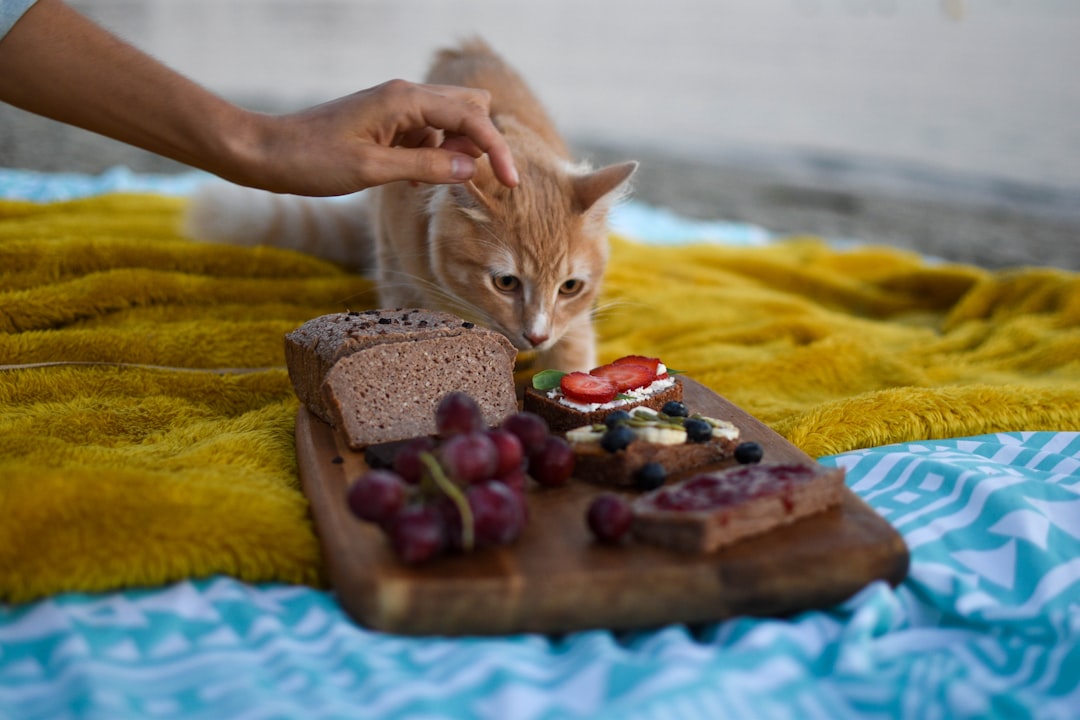 Unlocking the Secrets: Understanding the Basics of Pet Nutrition