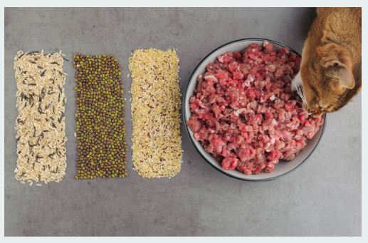 Freeze Dried Raw Cat Food