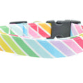 Dog Collar World Rainbow Stripe Collar