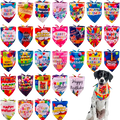Sparky & Co Birthday Screen Printed Pet Bandanas 34"