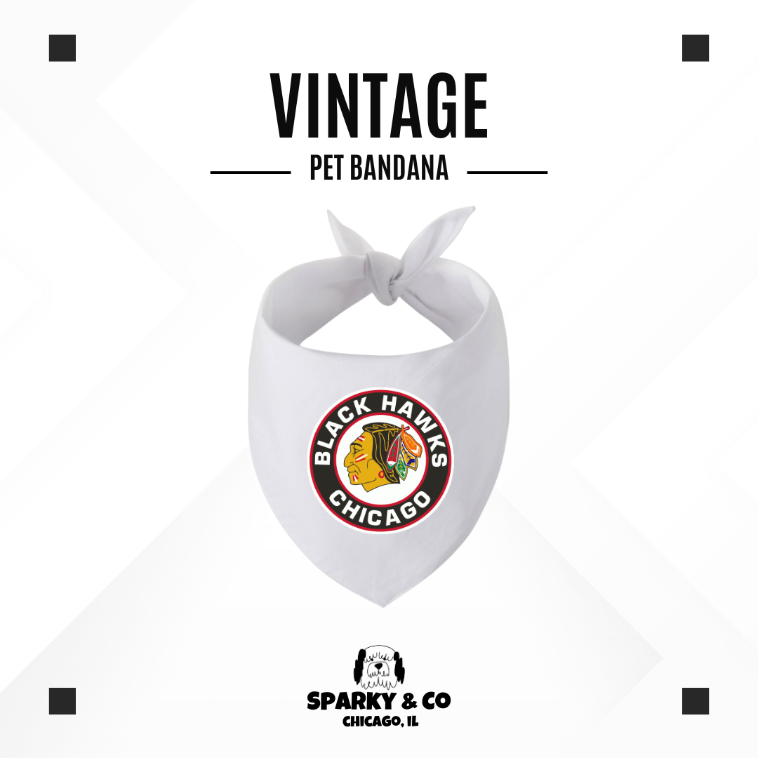 Sparky & Co Chicago Pro Sports Team Pet Bandana