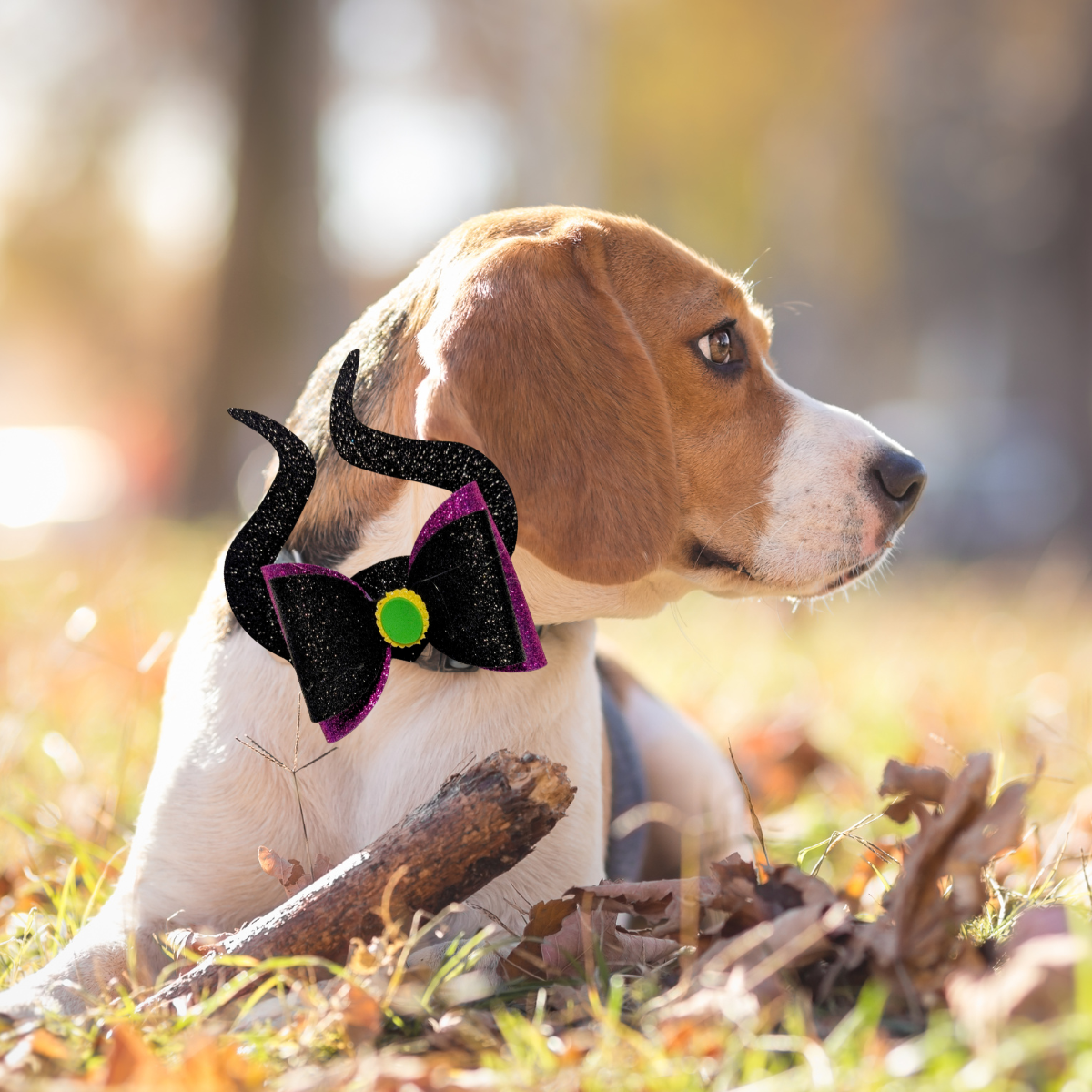 Halloween Maleficent 3D Pet Bow for Dogs & Cats