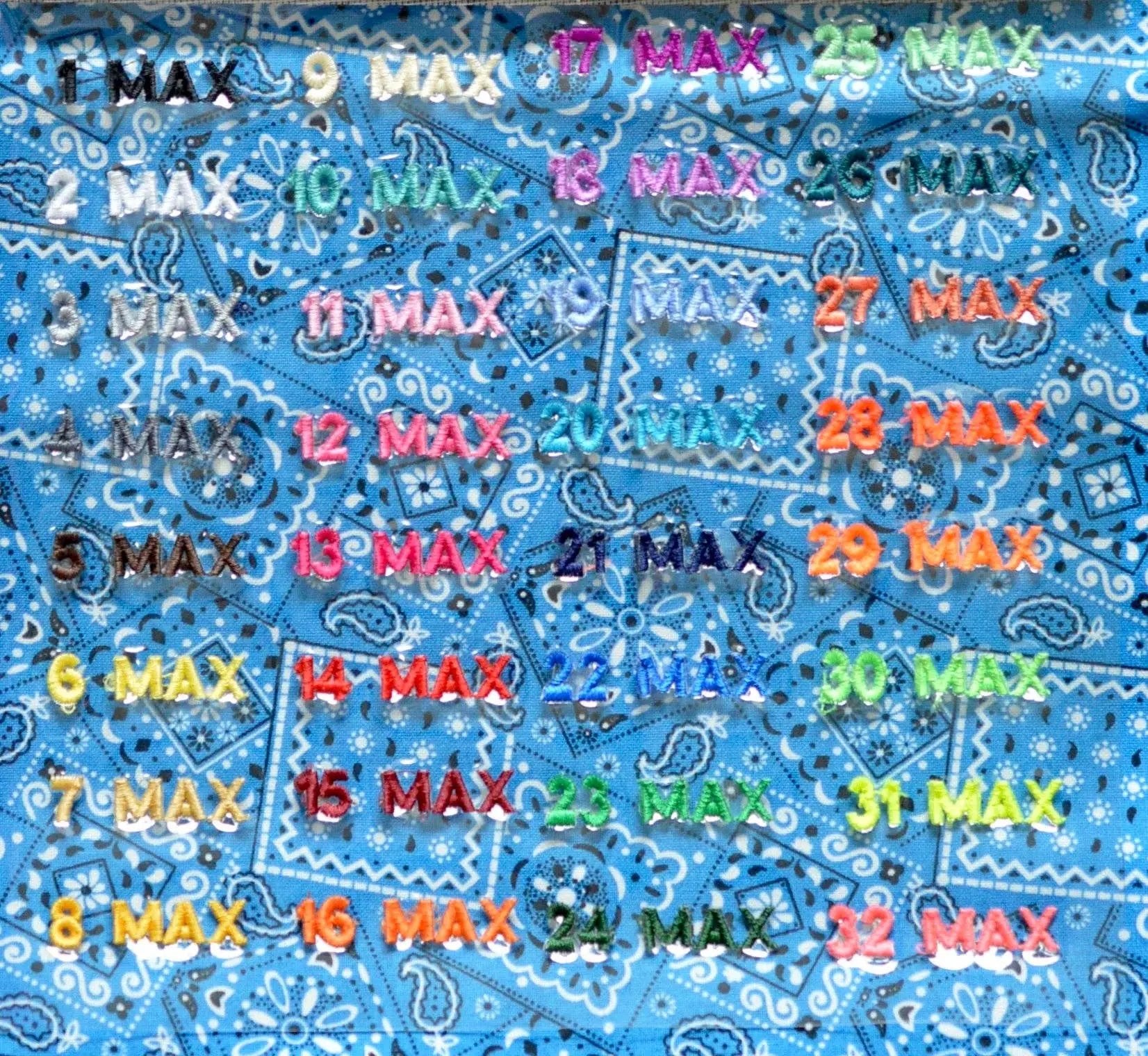 Dog Collar World Blue Bandana Collar