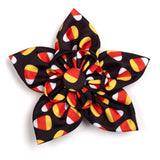 The Worthy Dog Candy Corn Collection Flower