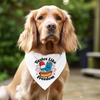 Sparky & Co Patriotic Pet Bandana