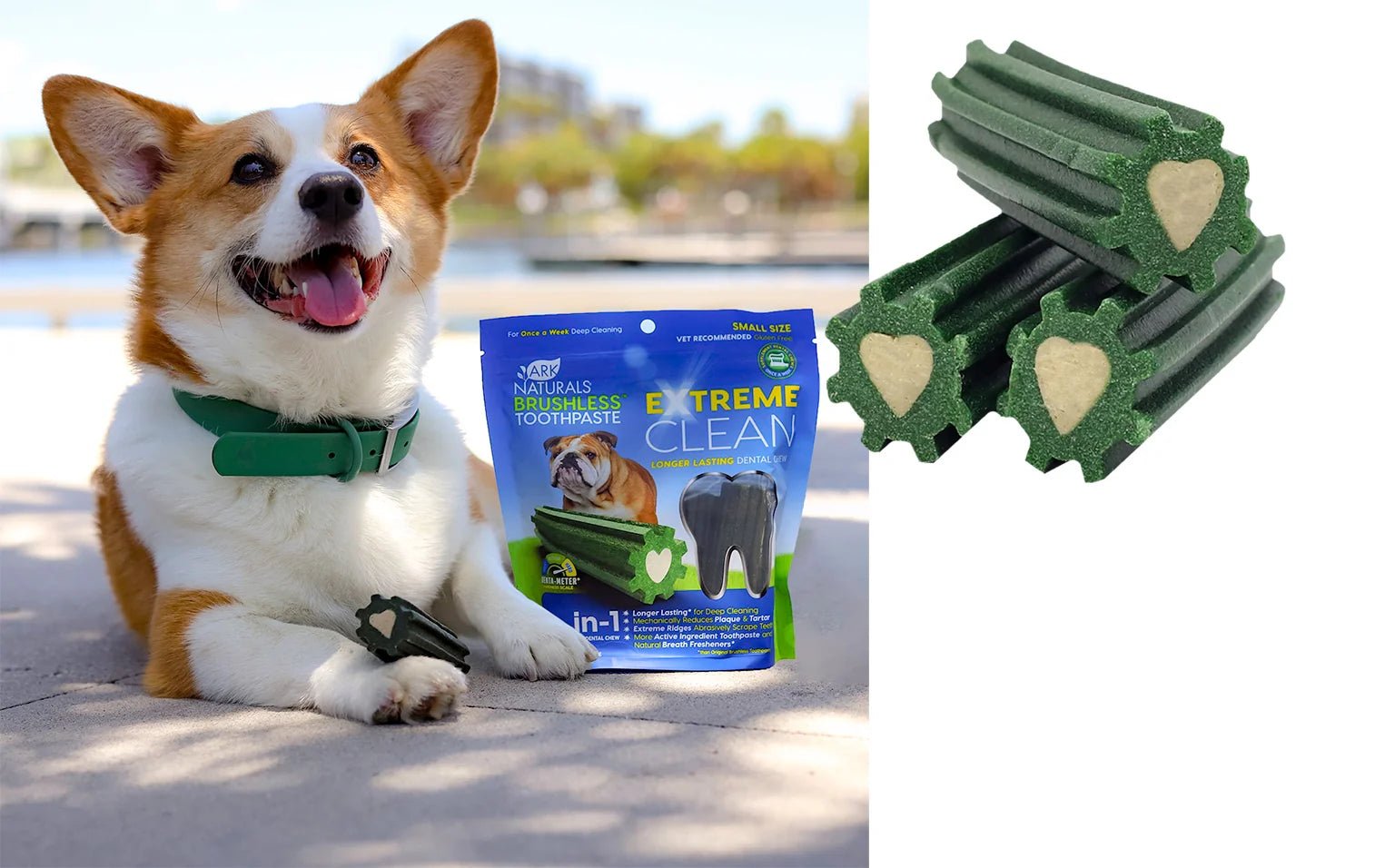 Ark Naturals Brushless Toothpaste Extreme Clean Dog Dental Chews