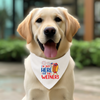 Sparky & Co Patriotic Pet Bandana