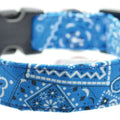 Dog Collar World Blue Bandana Collar