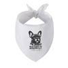 Sparky & Co Vintage Graphic Pet Bandana