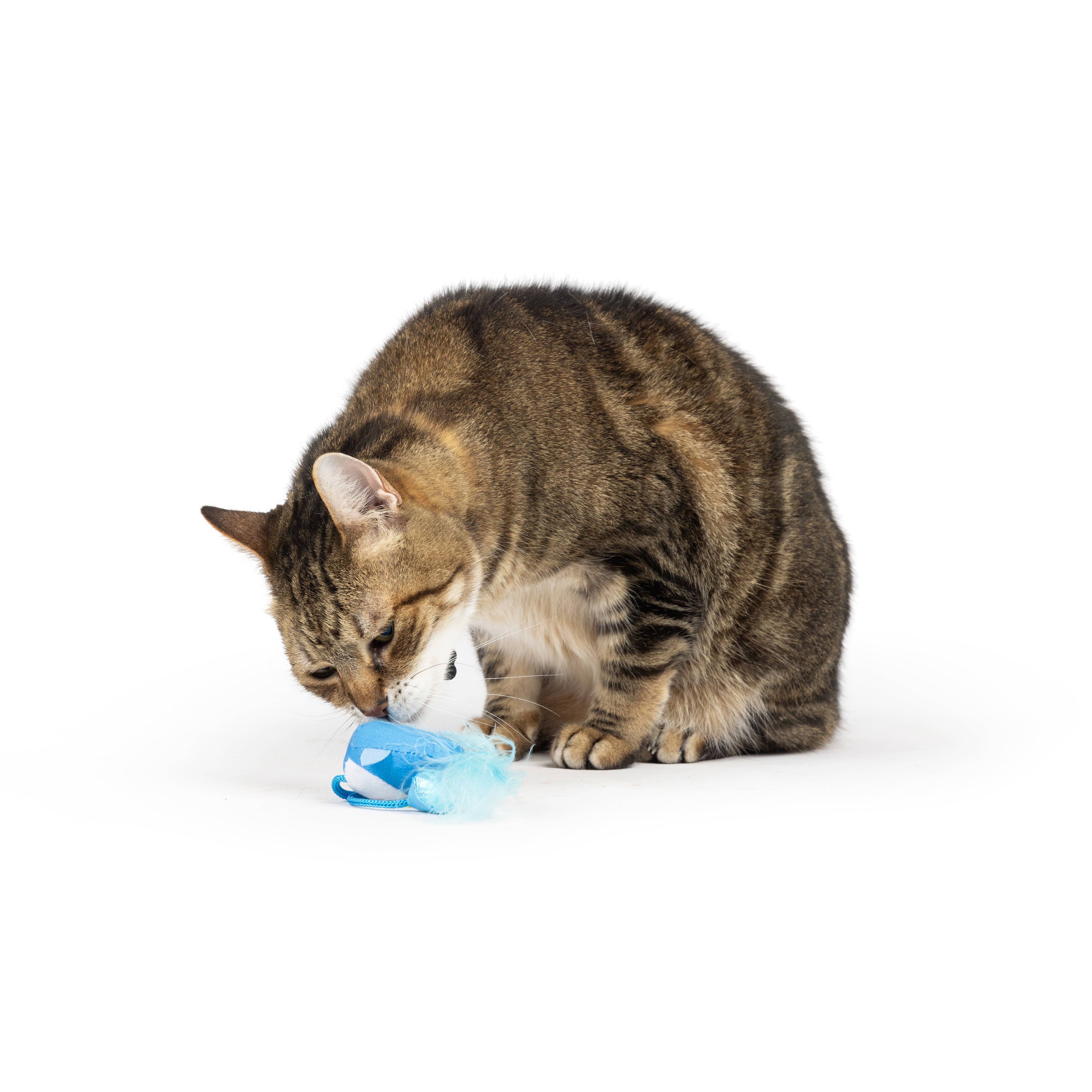 Huxley & Kent Bluebird Chirpy Cat Toy