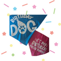 Sparky & Co Glitter Birthday Dog Pet Bandana 31"