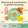 Primal Kibble in the Raw Chicken Dog Food