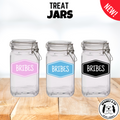 Sparky & Co "Bribes" Glass Treat Canister Jar With Latch-Style Lid 44oz