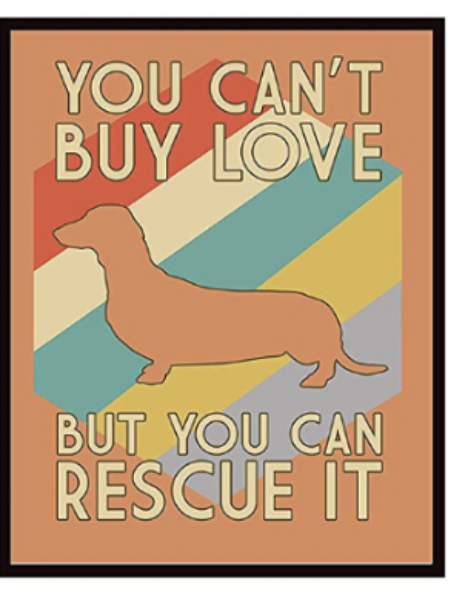 Silly Goose Rescue-Themed Art Prints 8x10 (set of 6)