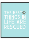 Silly Goose Rescue-Themed Art Prints 8x10 (set of 6)