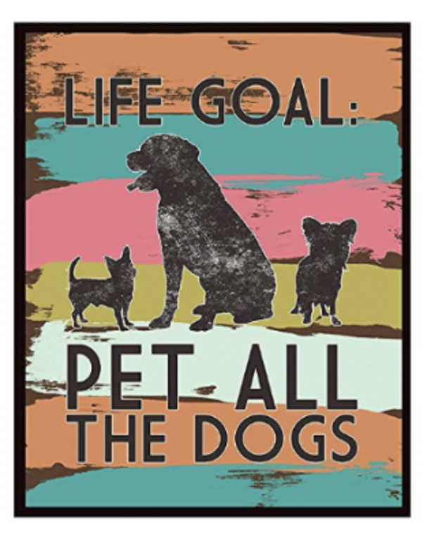 Silly Goose Rescue-Themed Art Prints 8x10 (set of 6)