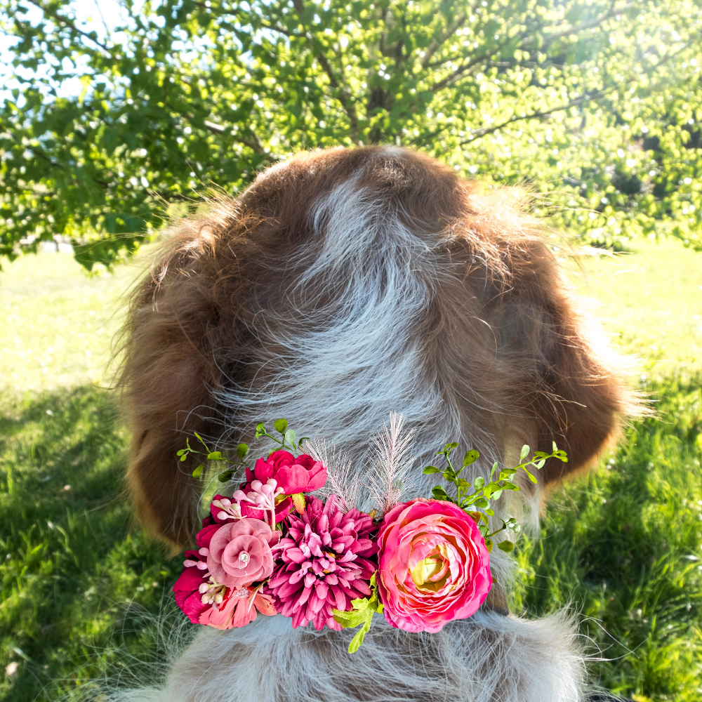 Sparky & Co Garden Party Flower Corsage Collar Accessory