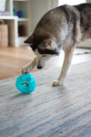 Messy Mutts Totally Pooched Stuff 'N Wobble Ball 5" Dog Toy