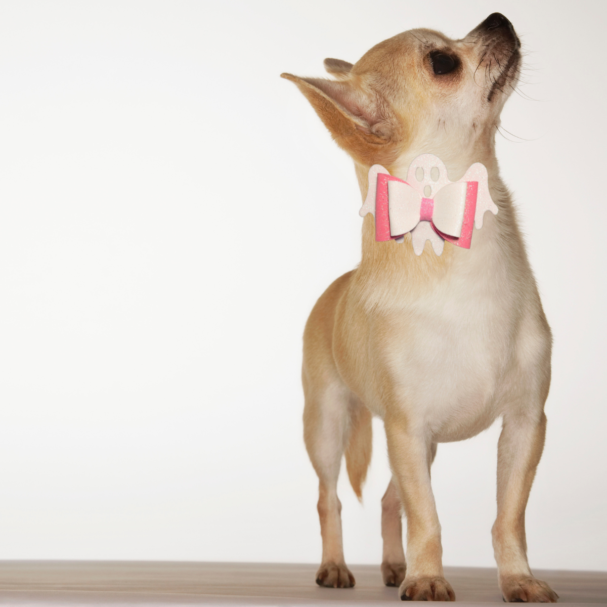 Halloween Ghost 3D Pet Bow for Dogs & Cats